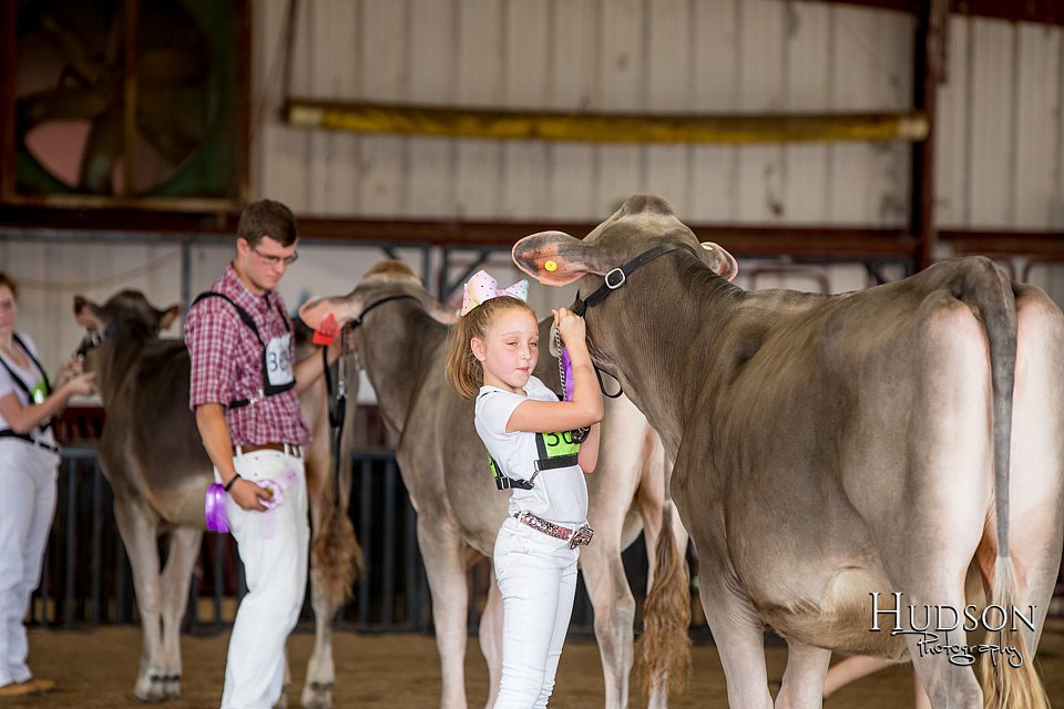 LCFAIR-081518-3131.jpg