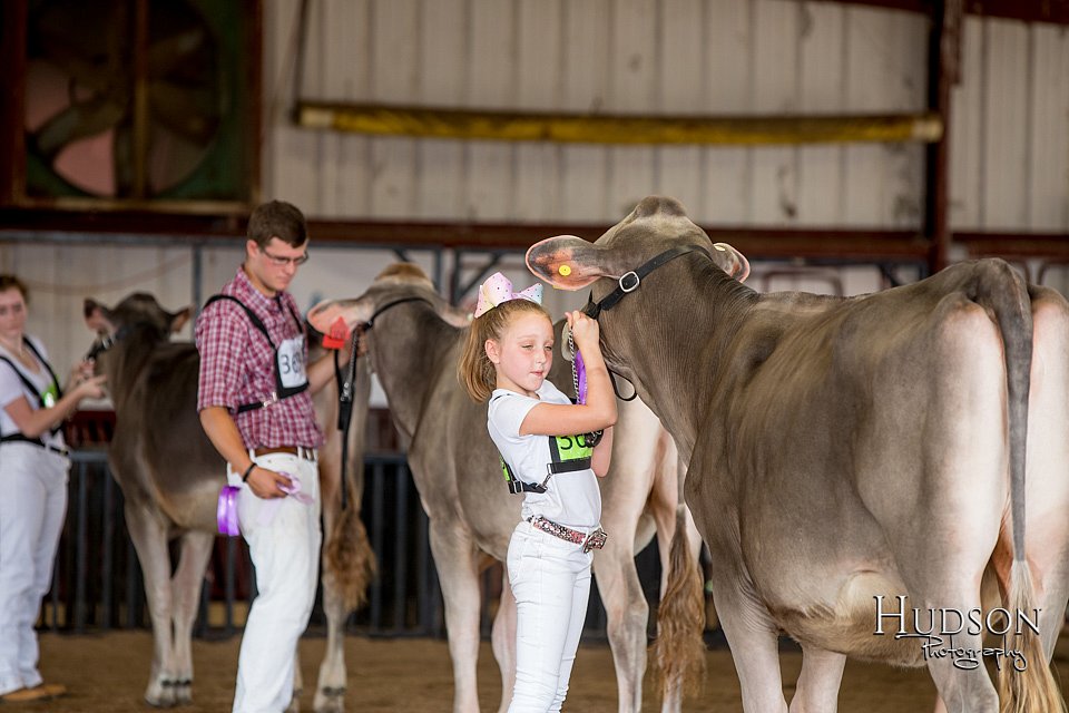 LCFAIR-081518-3132.jpg