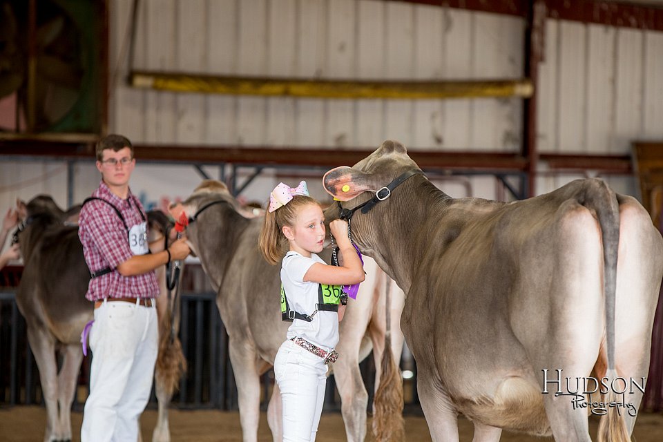 LCFAIR-081518-3133.jpg