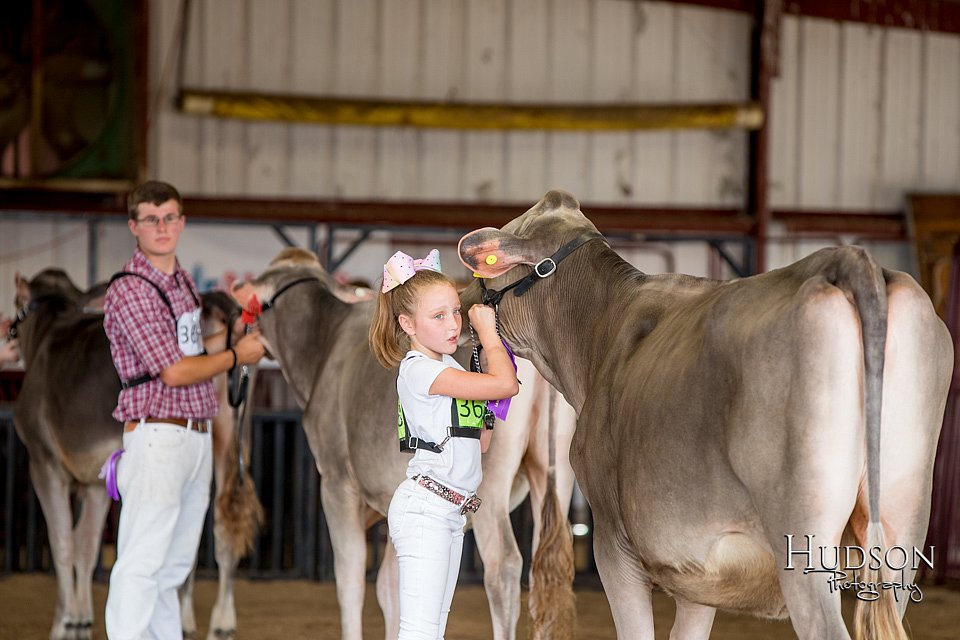 LCFAIR-081518-3134.jpg
