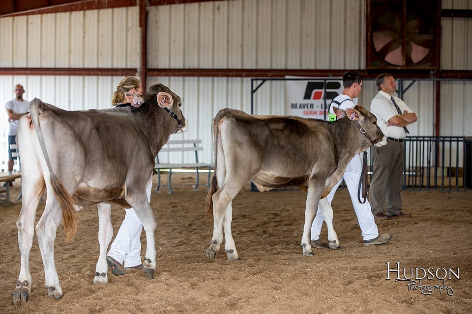 LCFAIR-081518-3138.jpg