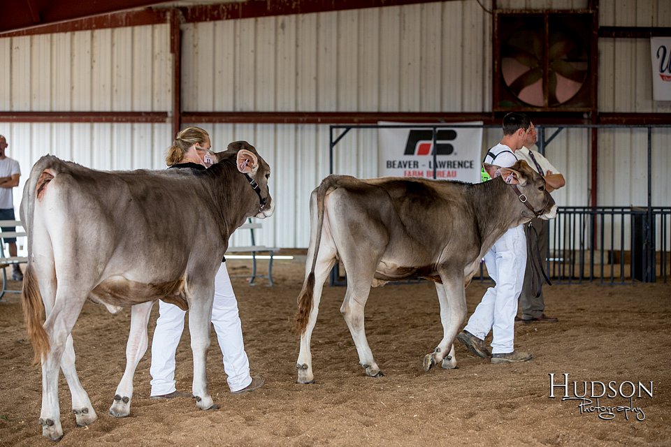 LCFAIR-081518-3139.jpg