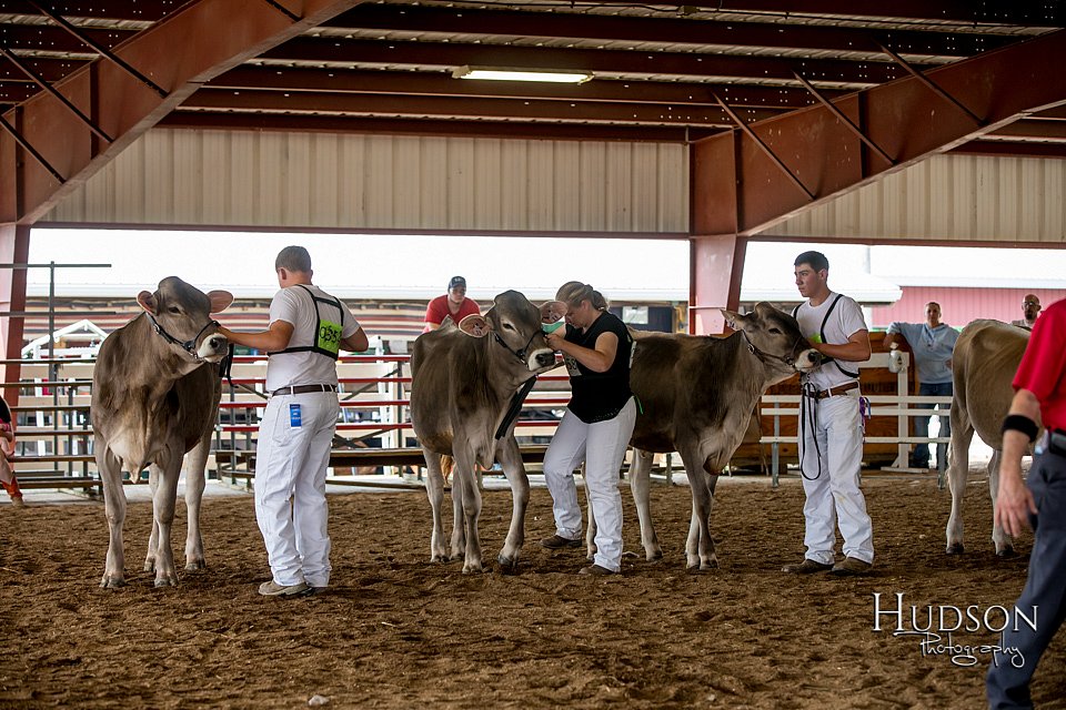 LCFAIR-081518-3140.jpg