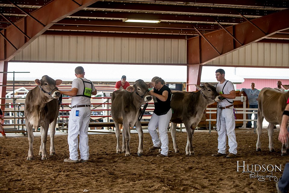 LCFAIR-081518-3141.jpg