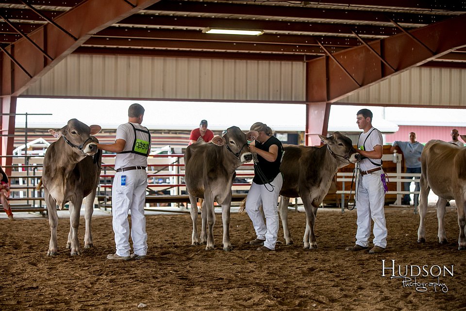LCFAIR-081518-3142.jpg