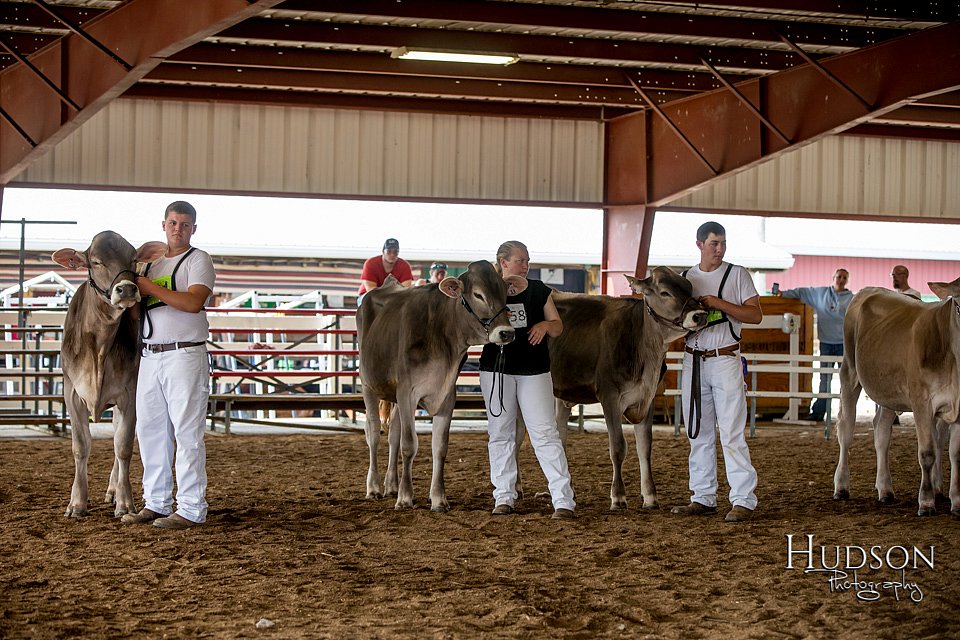 LCFAIR-081518-3143.jpg