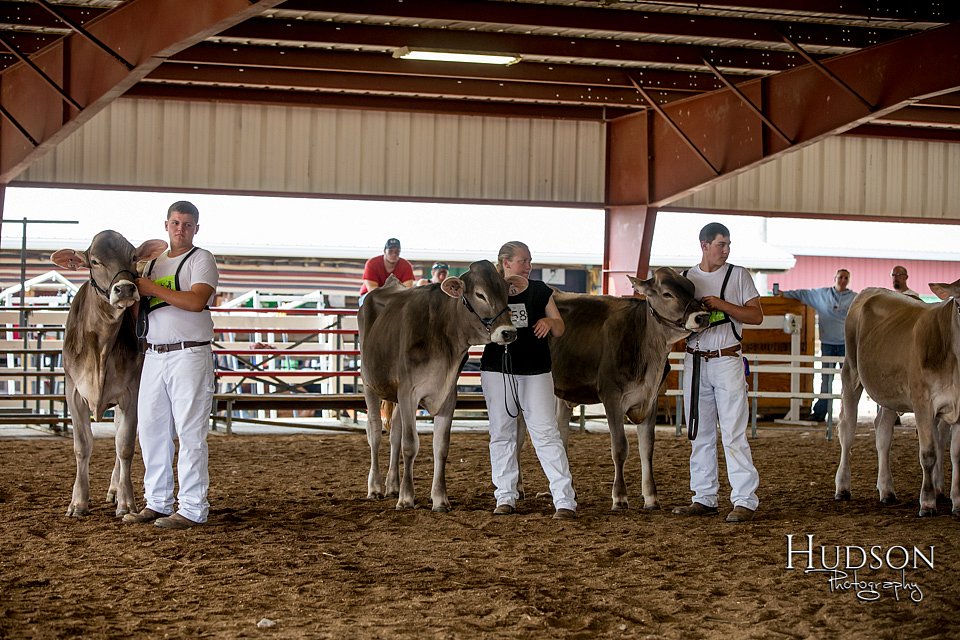 LCFAIR-081518-3144.jpg