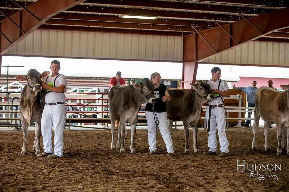 LCFAIR-081518-3145.jpg
