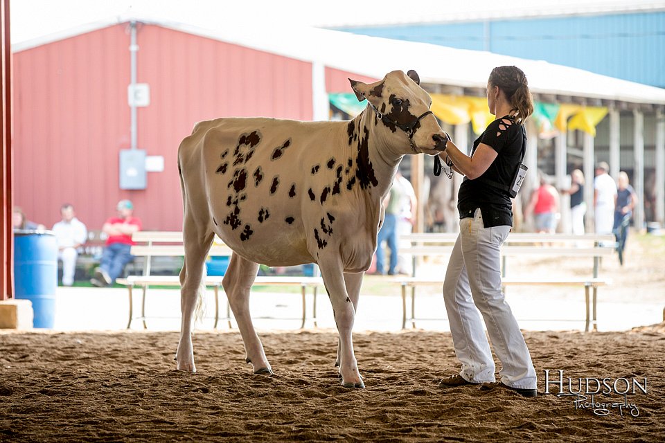 LCFAIR-081518-3149.jpg