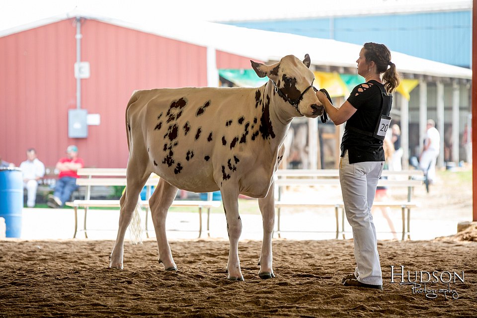 LCFAIR-081518-3150.jpg