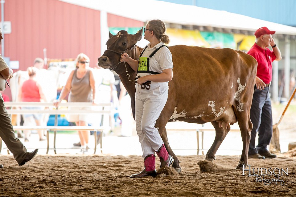 LCFAIR-081518-3154.jpg