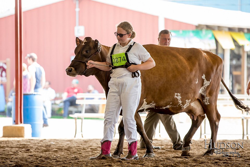 LCFAIR-081518-3156.jpg