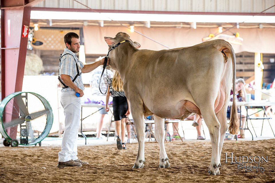 LCFAIR-081518-3158.jpg