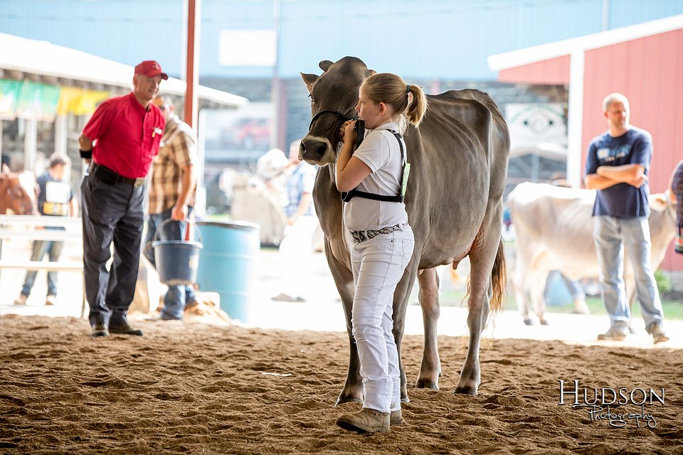 LCFAIR-081518-3160.jpg
