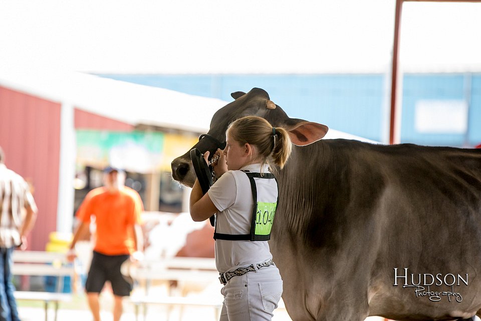 LCFAIR-081518-3162.jpg