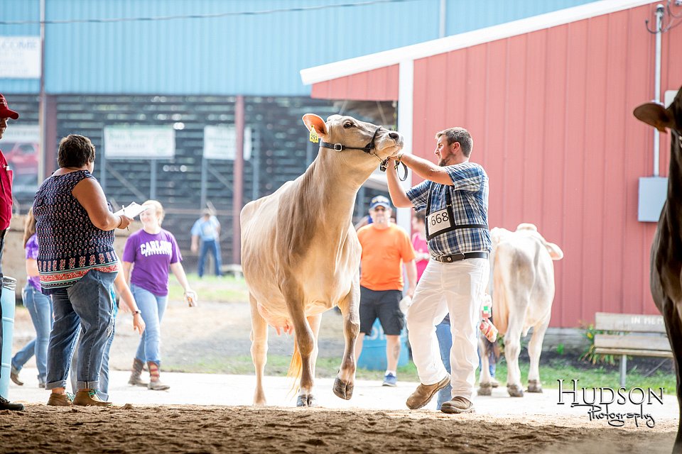 LCFAIR-081518-3163.jpg