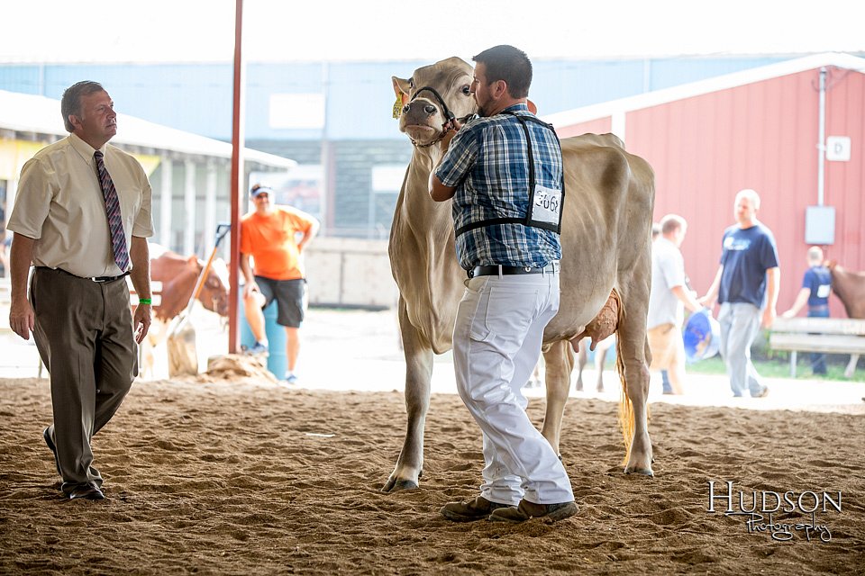 LCFAIR-081518-3164.jpg