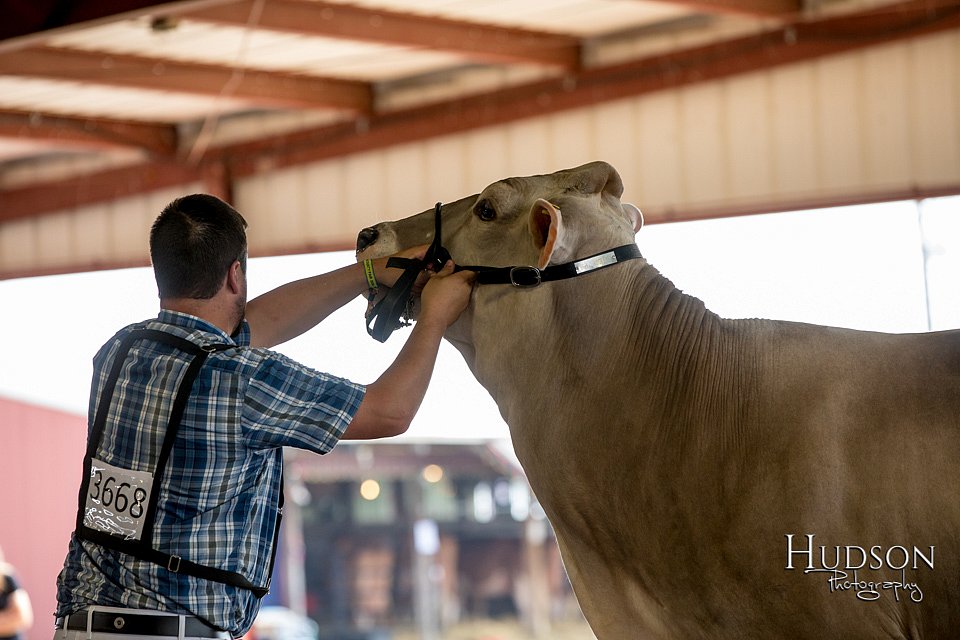 LCFAIR-081518-3165.jpg