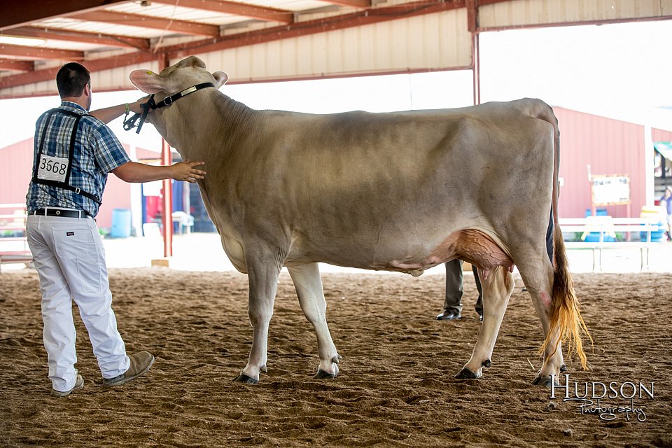 LCFAIR-081518-3166.jpg