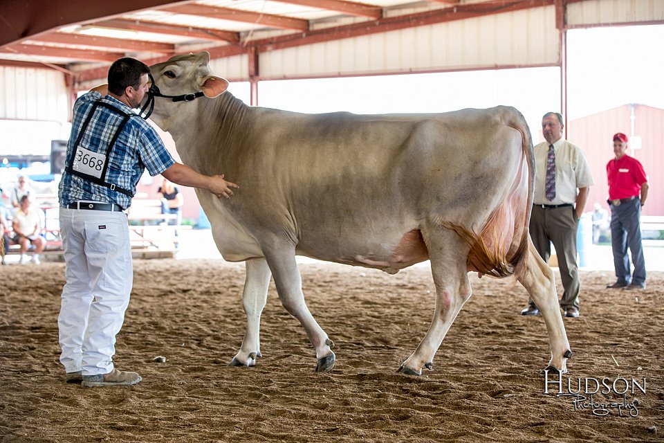 LCFAIR-081518-3167.jpg