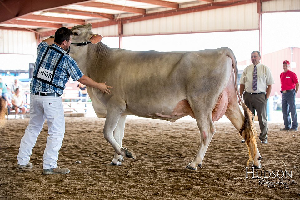 LCFAIR-081518-3168.jpg
