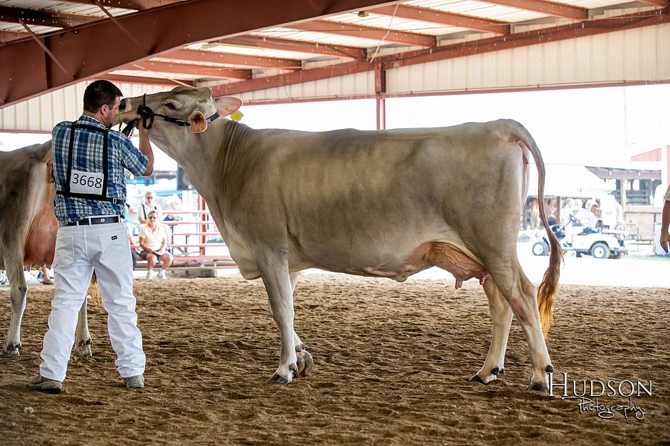 LCFAIR-081518-3169.jpg