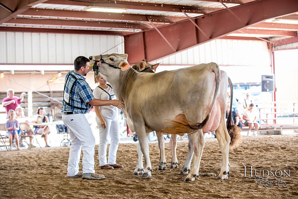 LCFAIR-081518-3170.jpg