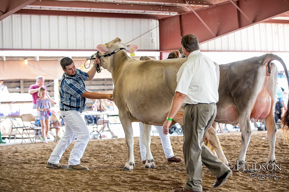 LCFAIR-081518-3171.jpg