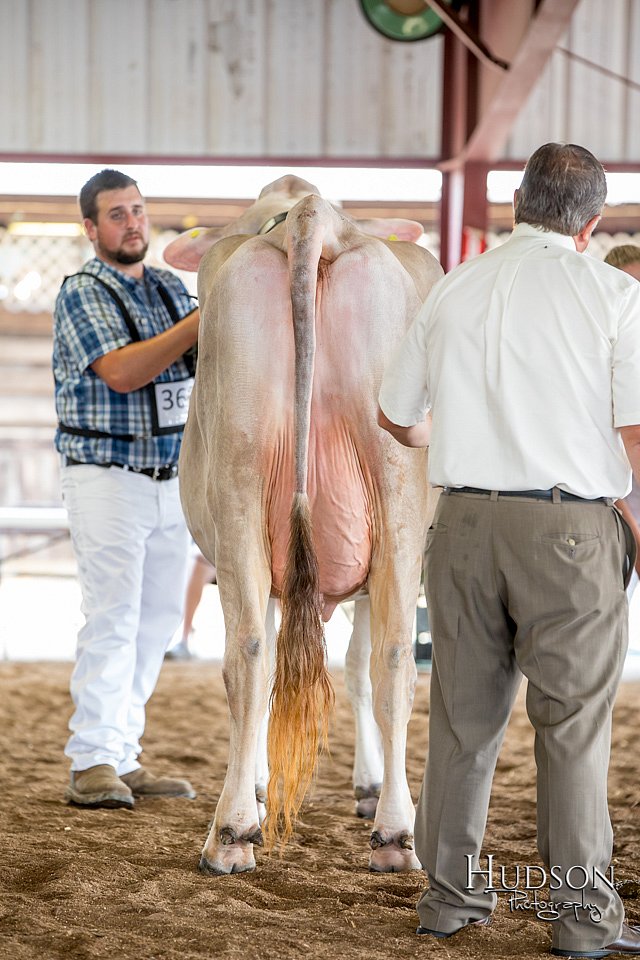 LCFAIR-081518-3172.jpg