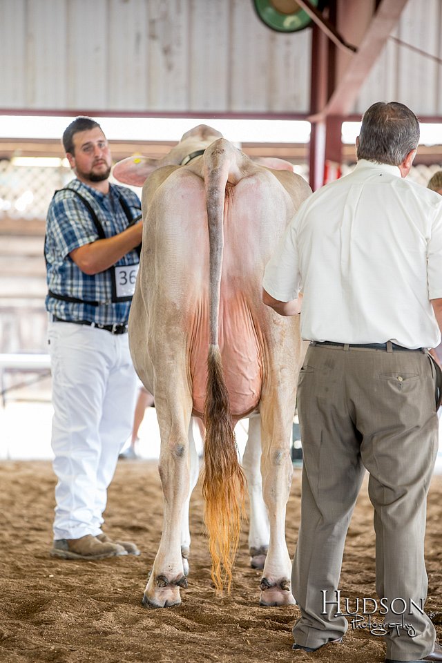 LCFAIR-081518-3173.jpg