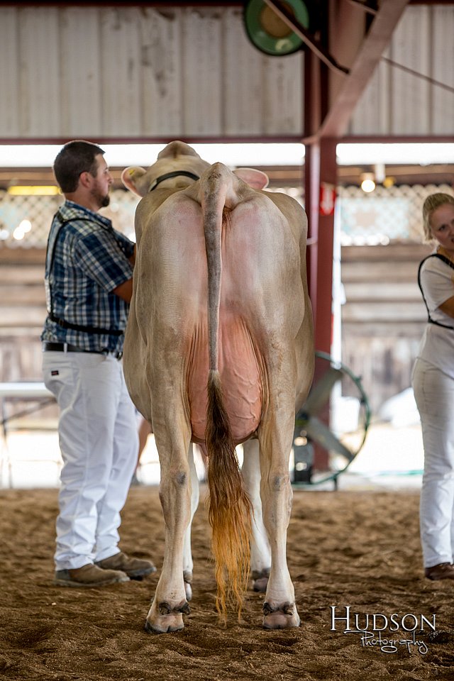 LCFAIR-081518-3174.jpg