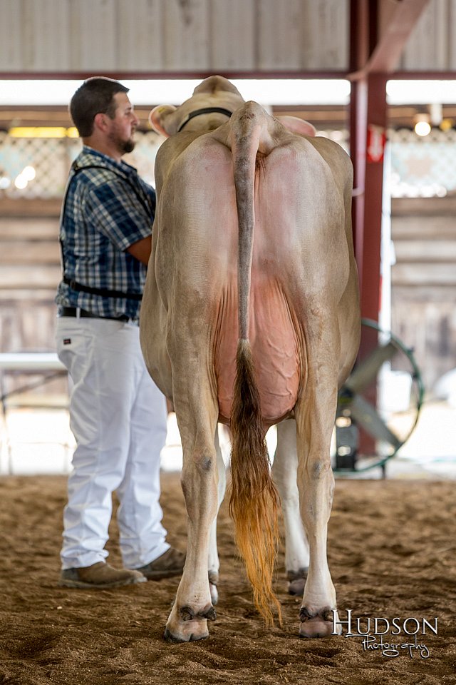 LCFAIR-081518-3175.jpg