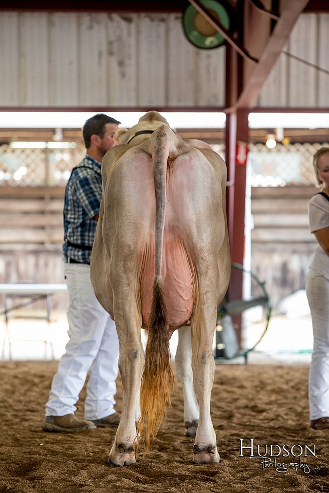 LCFAIR-081518-3176.jpg