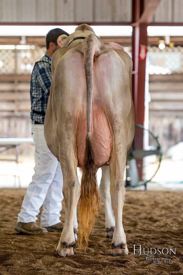 LCFAIR-081518-3177.jpg