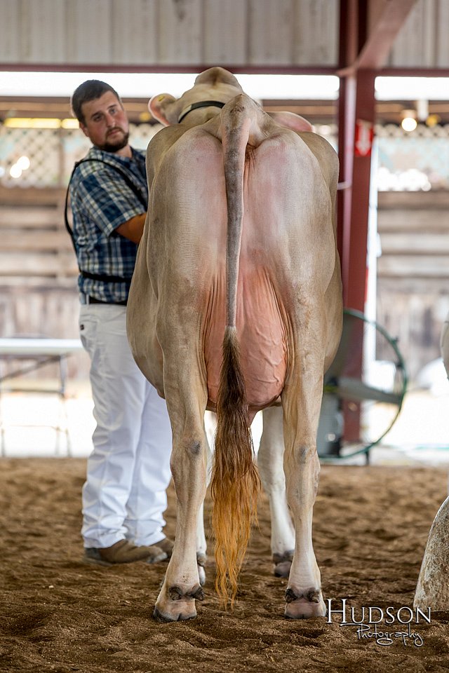 LCFAIR-081518-3178.jpg