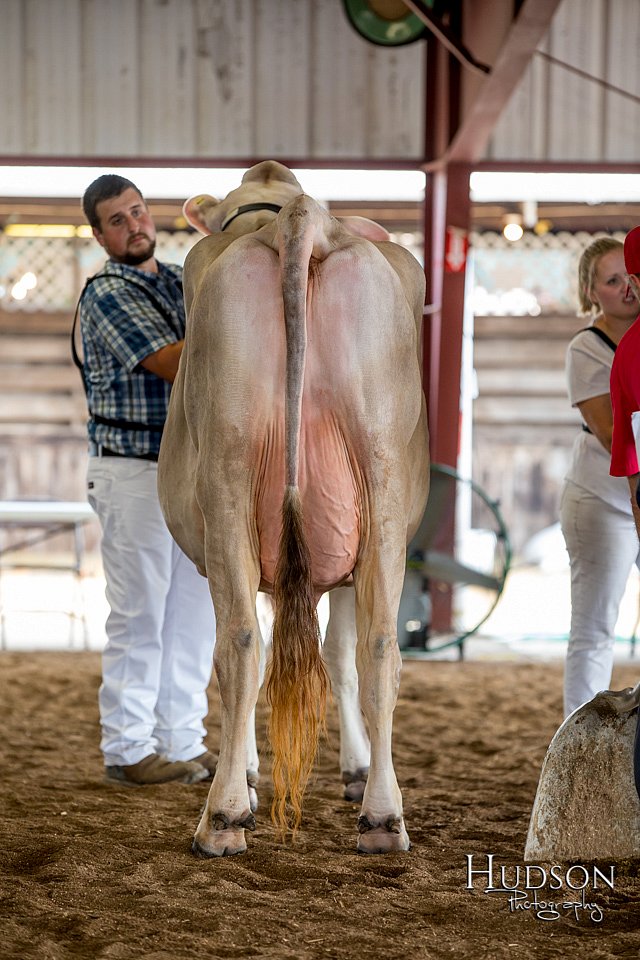 LCFAIR-081518-3179.jpg
