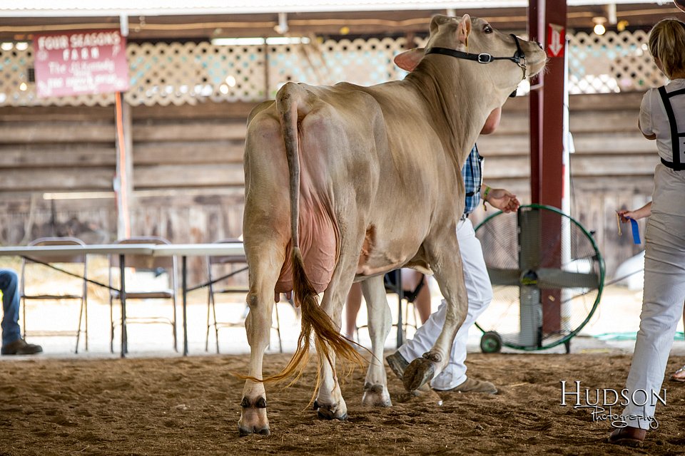 LCFAIR-081518-3180.jpg