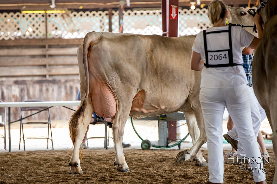 LCFAIR-081518-3181.jpg