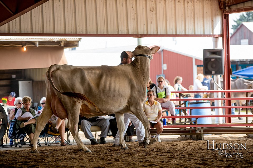LCFAIR-081518-3182.jpg