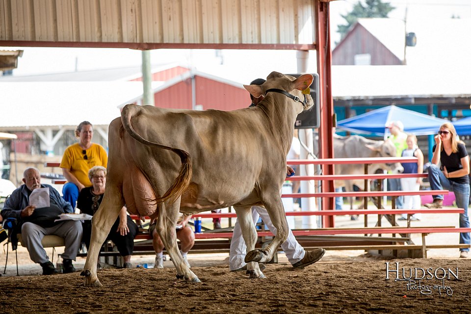 LCFAIR-081518-3183.jpg