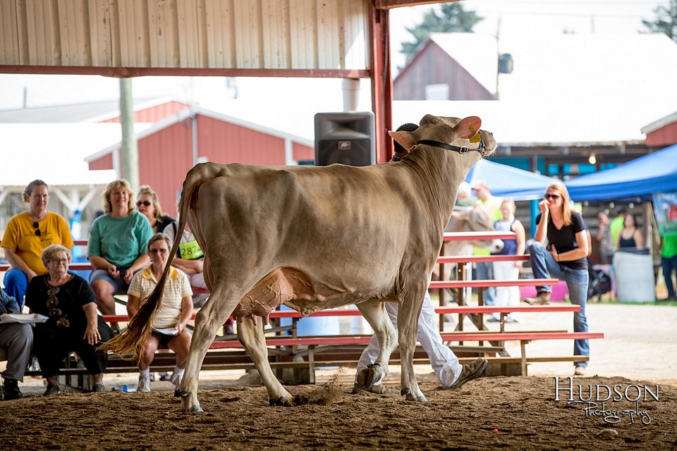 LCFAIR-081518-3184.jpg