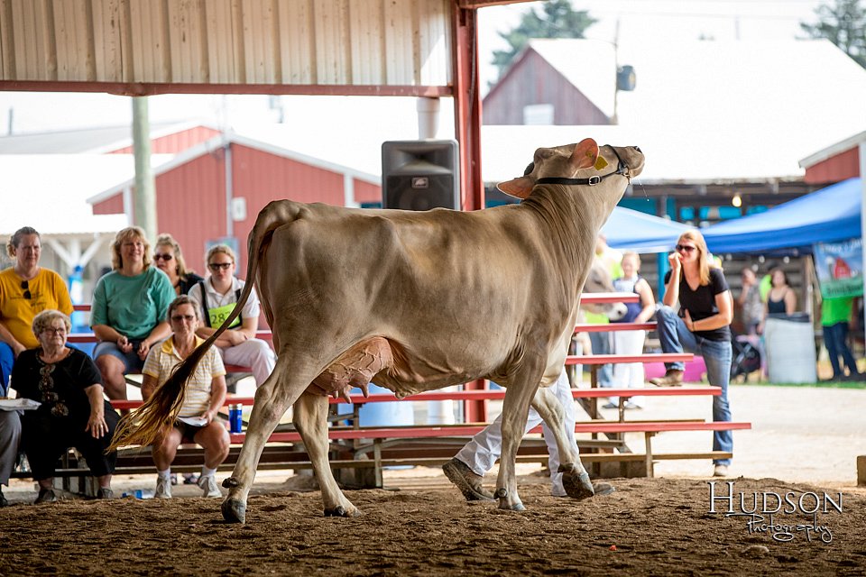 LCFAIR-081518-3185.jpg
