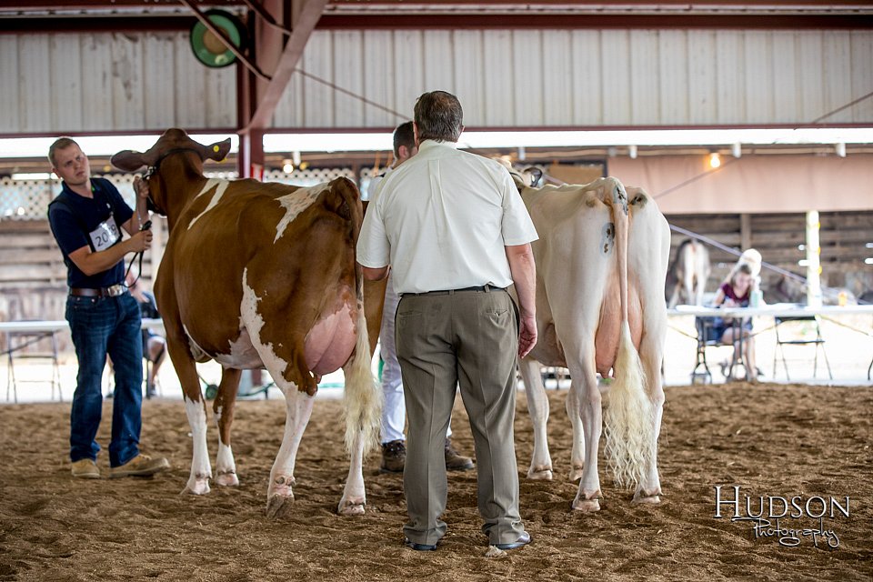 LCFAIR-081518-3193.jpg