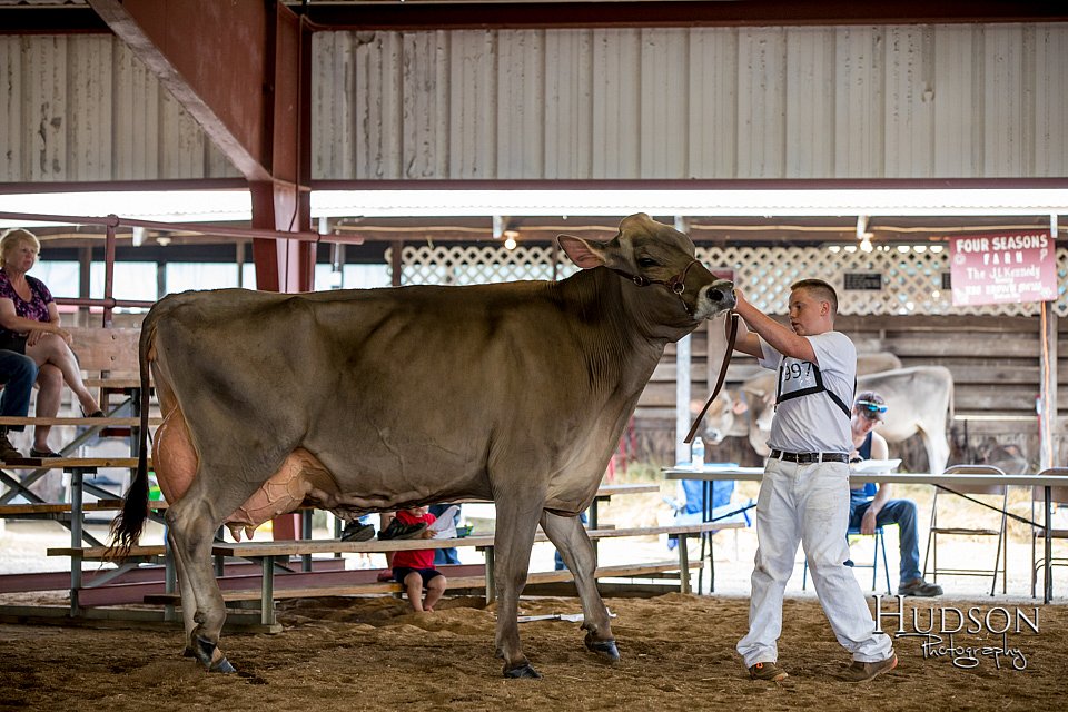 LCFAIR-081518-3194.jpg