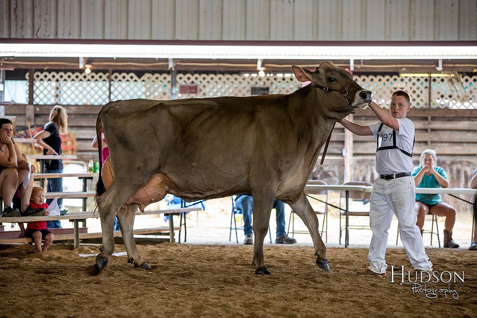 LCFAIR-081518-3196.jpg