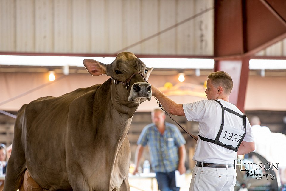 LCFAIR-081518-3197.jpg