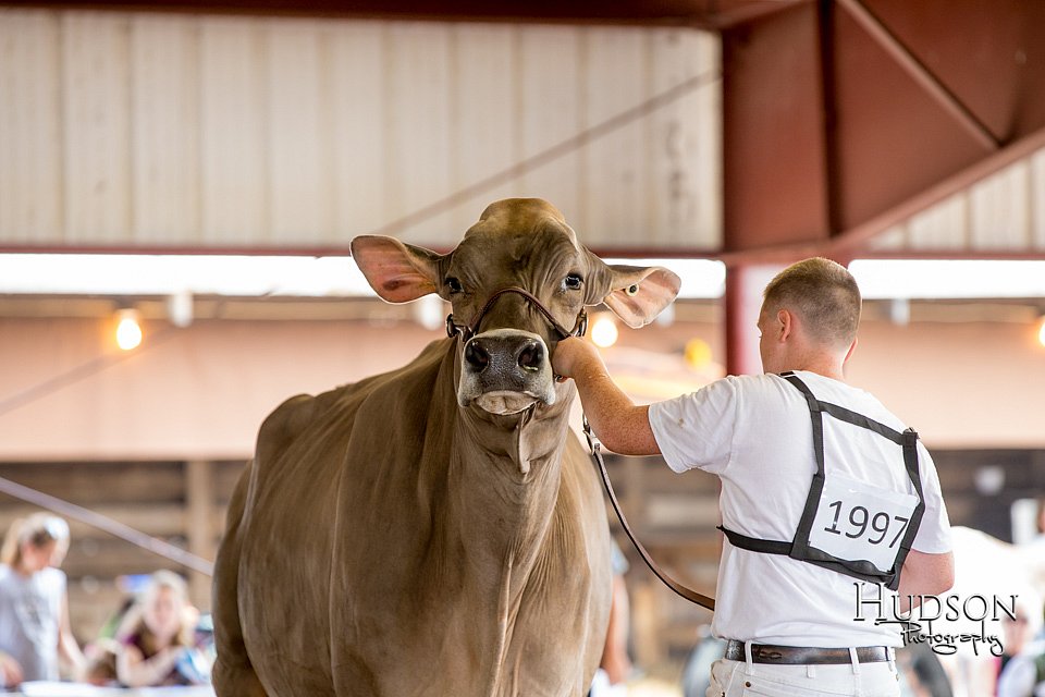 LCFAIR-081518-3198.jpg