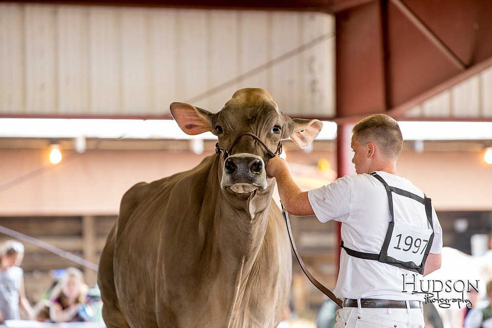 LCFAIR-081518-3199.jpg