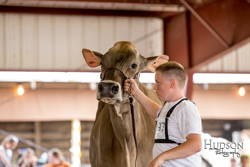 LCFAIR-081518-3200.jpg