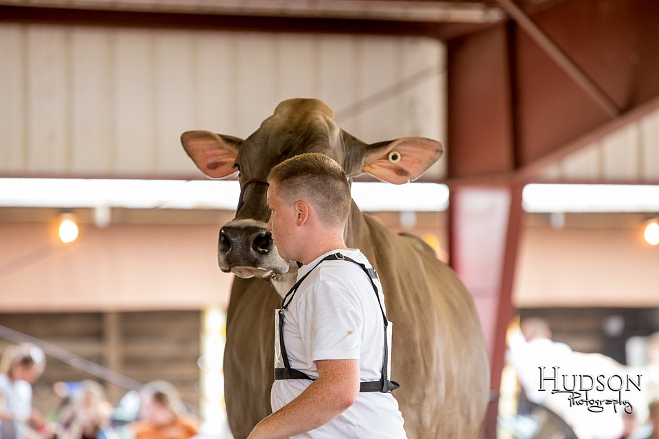 LCFAIR-081518-3201.jpg